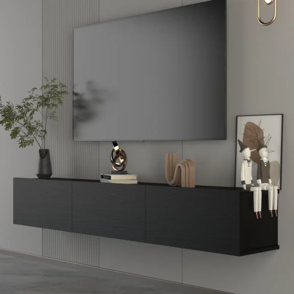 Hamman Minimalist Floating Black TV Stand