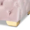 Kylin Blush Velvet Button Tufted Luxury Ottoman Bench