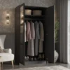 Mysia Elite Mirrored 2-Door Solid Wood Wardrobe