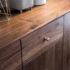 Nordic Walnut Minimalist Entryway Shoe Storage Cabinet